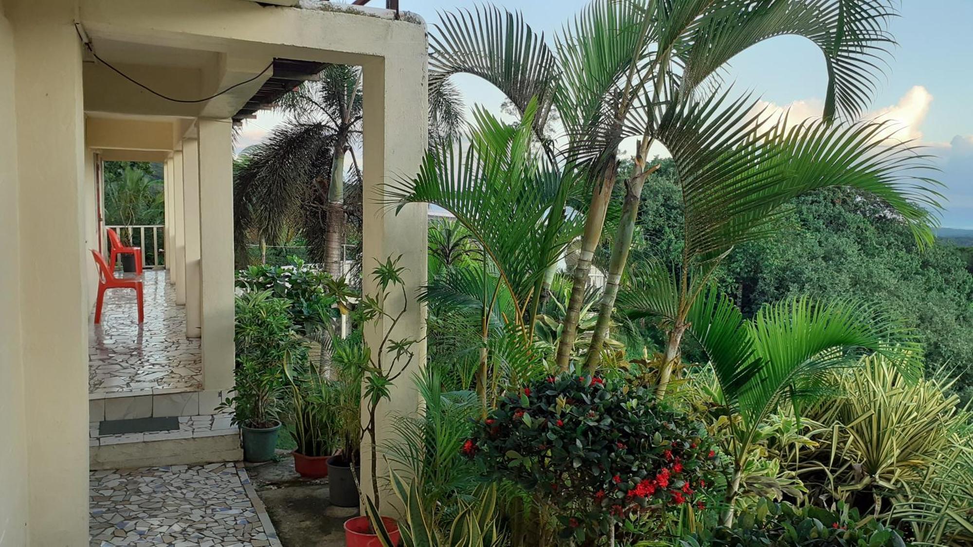 Dave Parker Eco Lodge Hotel Apia Exterior photo