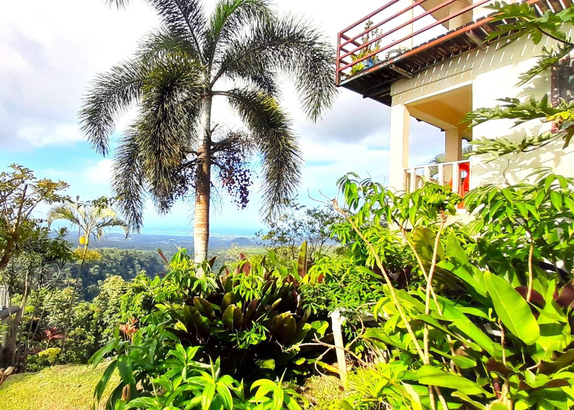 Dave Parker Eco Lodge Hotel Apia Exterior photo